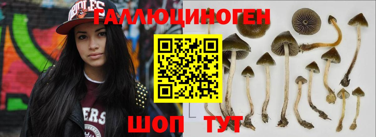 Арзамас  Галлюциногенные грибы Magic Shrooms  Вход с VPN 